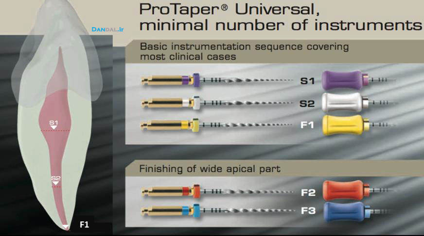 protaper - dandal