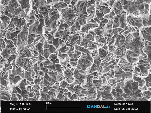 Leader - BOAT surface