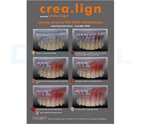 Bredent - crea.lign (GUM) Flow Composite