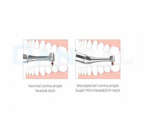 موتور اندو Woodpecker - Endo Radar Plus