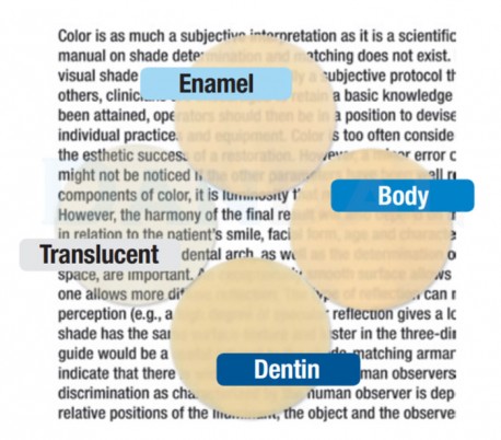 3M - Filtek Z350 XT Dentin Composite