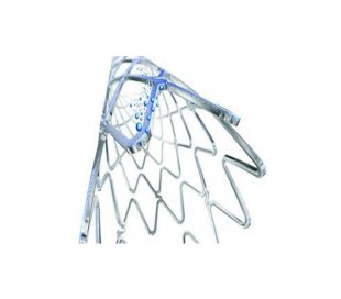 Biofreedom Drug Coated Coronary Stent - BIOSENSORS INTERNATIONAL GROUP LTD