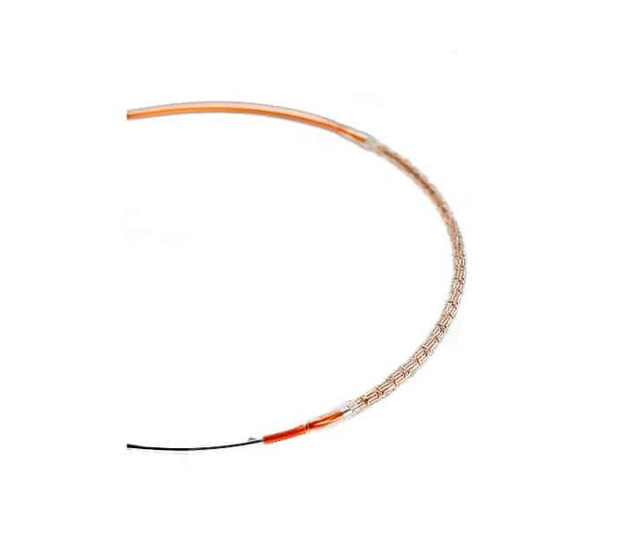 Xience Xpedition Everolimus Eluting Stent - Abbott Vascular