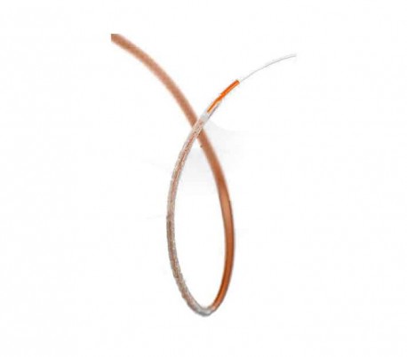 Xience Xpedition Everolimus Eluting Stent - Abbott Vascular