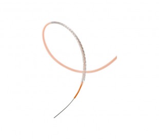 Xience Alpine Everolimus Eluting Stent - Abbott Vascular