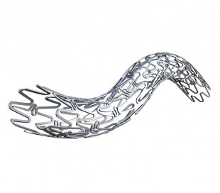 Angiolite Sirolimus Eluting Cronary Stent - LIFE VASCULAR DEVICES BIOTECH 