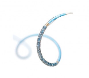 Integrity Bare Metal Stent - MEDTRONIC