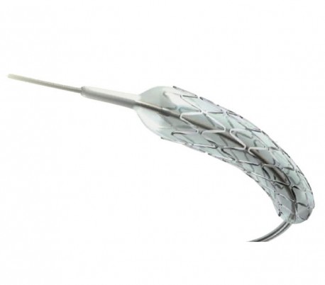 Leader Plus Cobalt Chromium Coronary Stent - Rontis