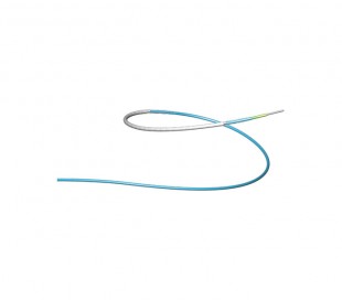 Begraft Coronary Stent Graft - Bentley Innomed