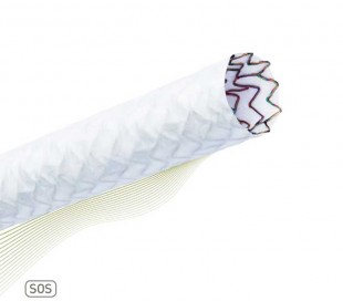 PK Papyrus Coronary Stent - Biotronik