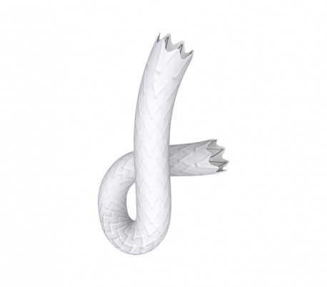 Begraft Peripheral Stent Graft - BENTLEY INNOMED