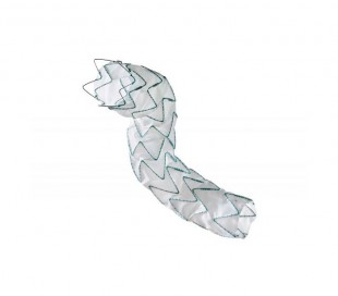 Evita Thoracic 3G Endovascular Stent  Graft - Jotec