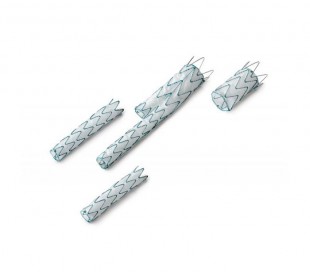 E-vita Abdominal XT Stent Graft - Jotec