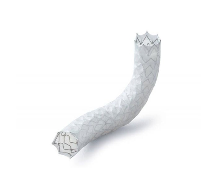 E-Ventus BX Peripheral Stent Graft - Jotec