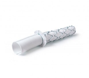 E-vita Open Plus Stent Graft - Jotec