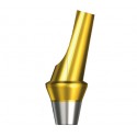 Shinhung - Angled Abutment - Non-Hex