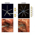 کتتر Biosense Webster - Pentaray