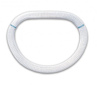 Carpentier-Edwards Physio Annuloplasty Ring - EDWARDS LIFESCIENCES LLC