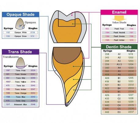 کیت کامپوزیت UltraDent - Vit-l-escence