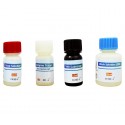 DiaZist - SARS-CoV-2 IgG ELISA Kit