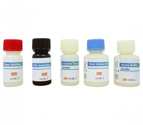 DiaZist - Ferritin ELISA Kit