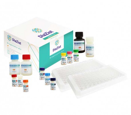 DiaZist - TSH ELISA Kit