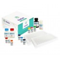 DiaZist - TSH ELISA Kit