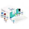 DiaZist - Prolactin ELISA Kit