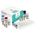 DiaZist - PSA ELISA Kit