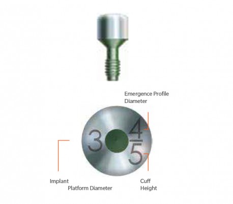 Zimmer - Tapered Screw-Vent Healing Abutment