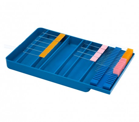 PIP - Staining Tray with Slide Holder