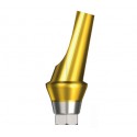 Shinhung - Angled Abutment - Hex