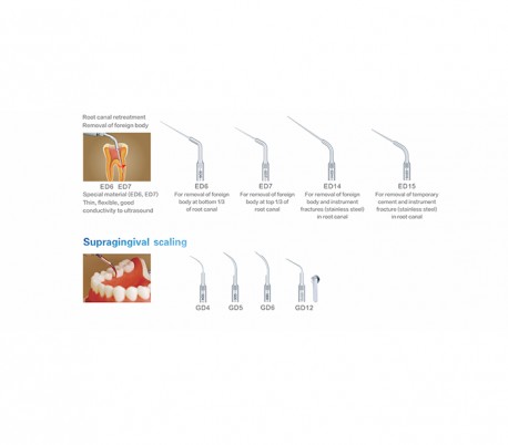 Woodpecker - U6 Ultrasonic Scaler