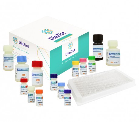 DiaZist - Ferritin ELISA Kit