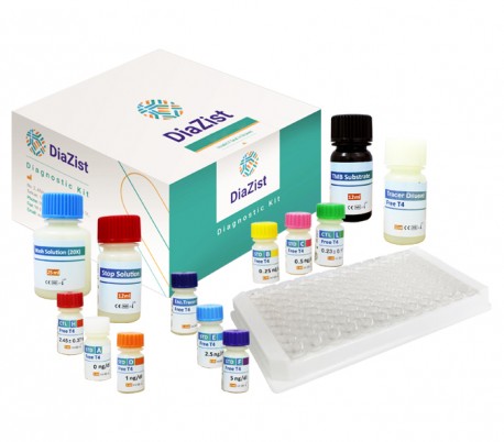 DiaZist - Free T4 ELISA Kit