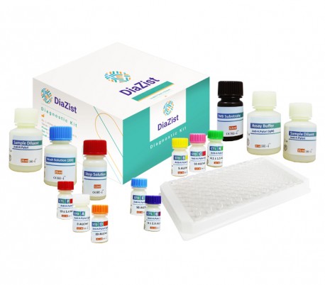 DiaZist - Anti-Helicobacter pylori IgM ELISA Kit