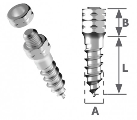 Jeil - Lim-Plate Micro Screw