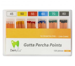 DiaDent - DentPlus Gutta percha