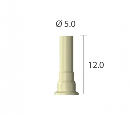 Dentium - NRLine Screw Abutment Burn-out Cylinder