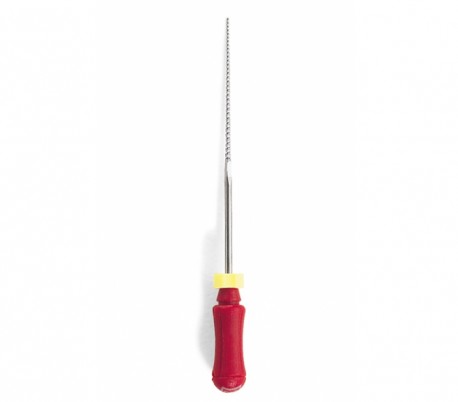 Dentsply - Maillefer K-File 21mm