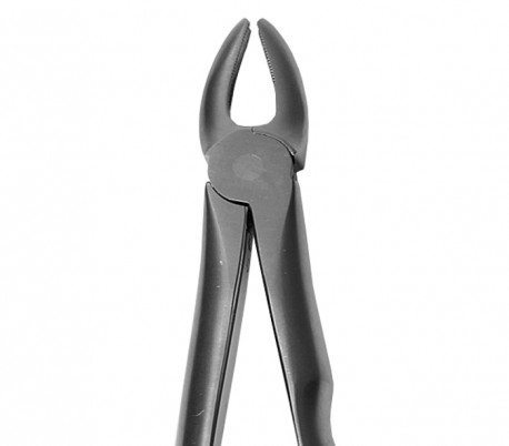 Dena Puya - Anatomic Forceps