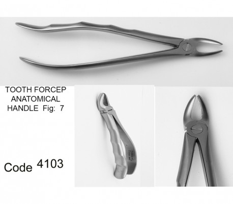 Dena Puya - Anatomic Forceps