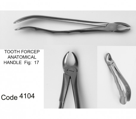 Dena Puya - Anatomic Forceps