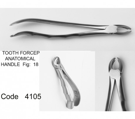 Dena Puya - Anatomic Forceps