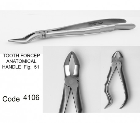 Dena Puya - Anatomic Forceps