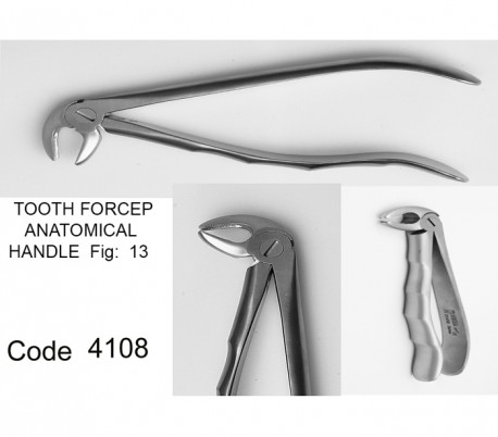 Dena Puya - Anatomic Forceps