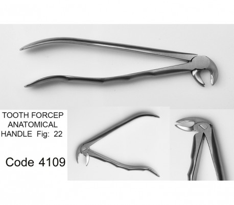 Dena Puya - Anatomic Forceps