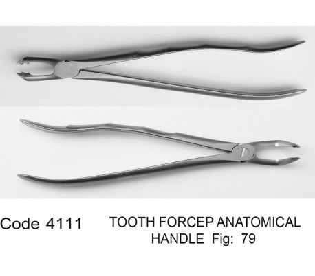 Dena Puya - Anatomic Forceps