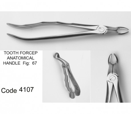 Dena Puya - Anatomic Forceps