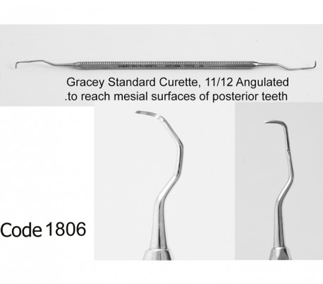 Dena Puya - Gracey Curette